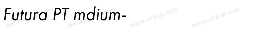 Futura PT mdium字体转换